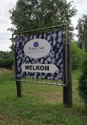 ZO 30/07/23 Fietsen door de mas in Limburg vanuit Paal (Beringen) ( 50 km) 
